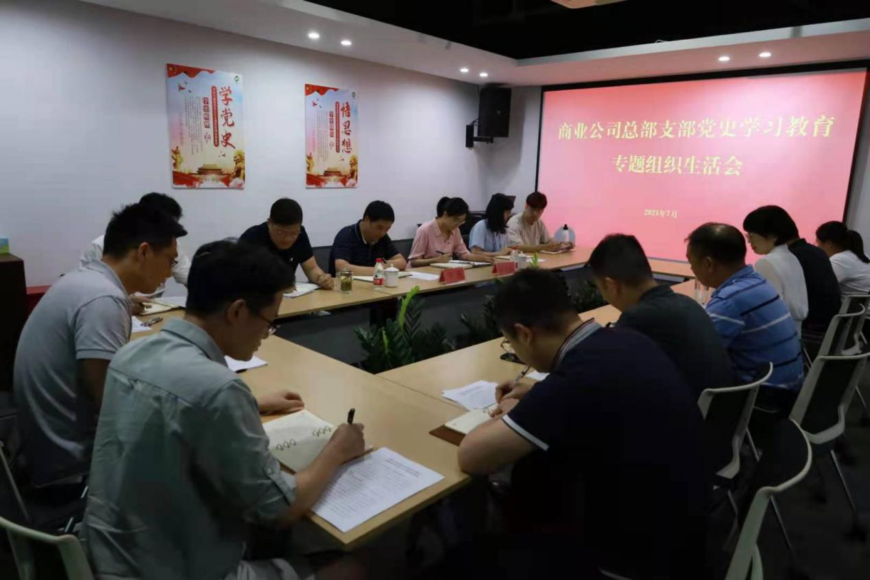 商業(yè)公司召開(kāi)黨史學(xué)習(xí)教育黨支部專(zhuān)題組織生活會(huì)